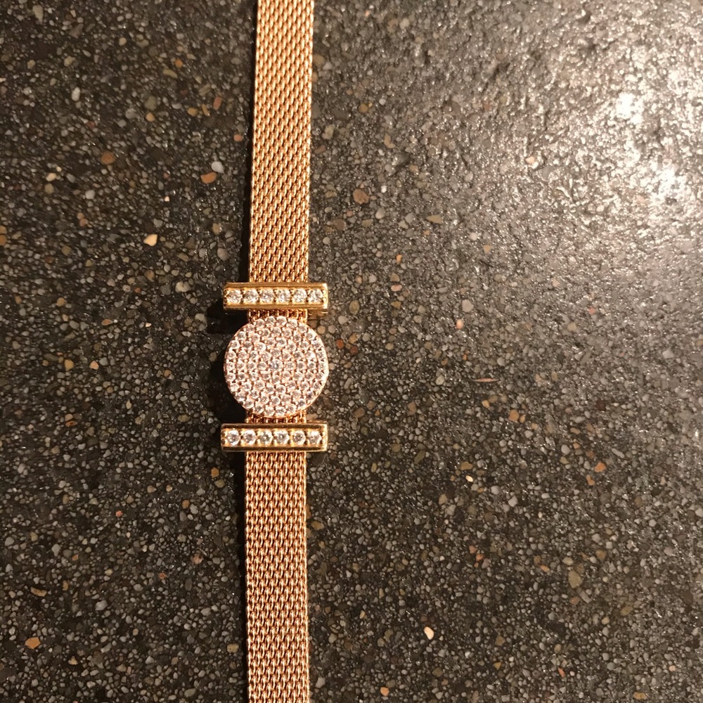 Pandora Reflections mesh bracelet with charms